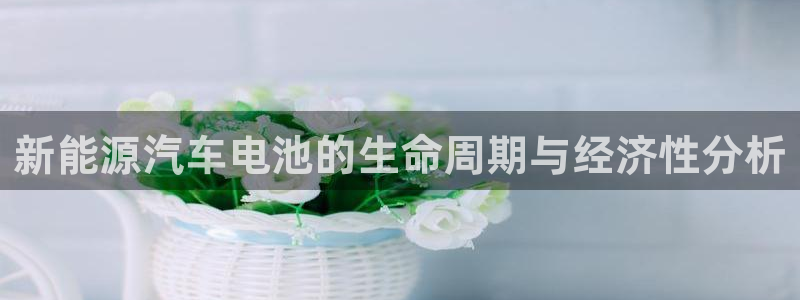 门徒娱乐平台介绍文案