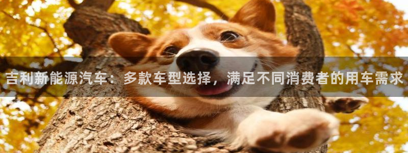 门徒娱乐是什么旗下：吉利新能源汽车：多款