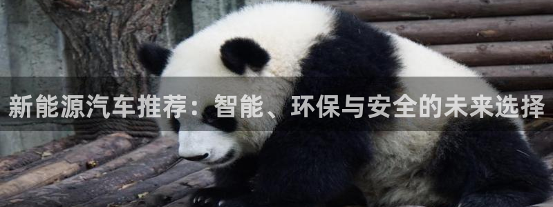 门徒娱乐平台登录：新能源汽车推荐：智能、