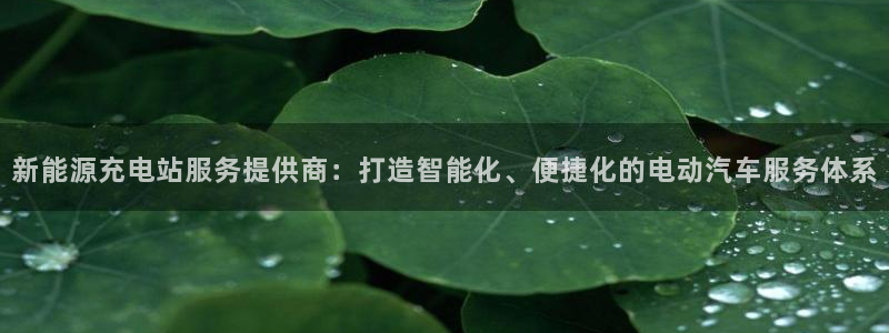 门徒娱乐官网首页：新能源充电站服务提供商