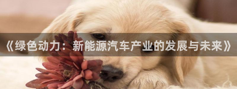 门徒娱乐平台真的假的：《绿色动力：新能源