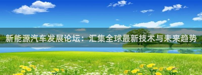 门徒娱乐下载手机版安装：新能源汽车发展论