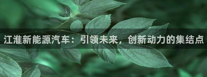 娱乐门徒 笔趣阁：江淮新能源汽车：引领未