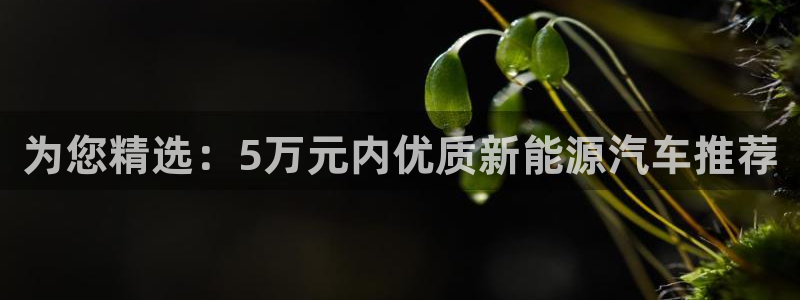 门徒娱乐382223