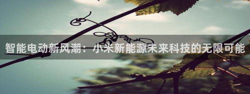 门徒娱乐正规么