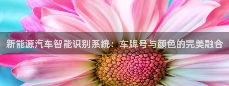 门徒娱乐拉菲