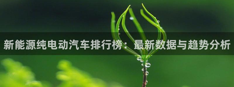 娱乐门徒北洋天下