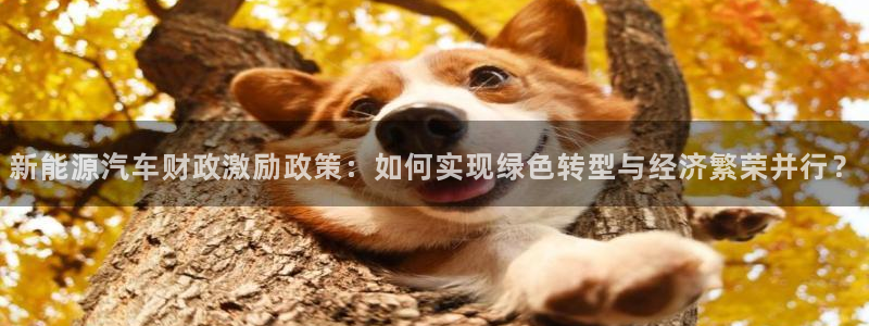 门徒娱乐地