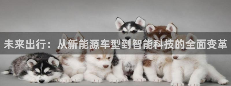门徒娱乐平台代理登录：未来出行：从新能源