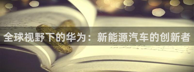 门徒娱乐代发qq：全球视野下的华为：新能