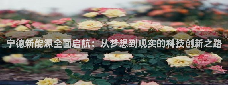 娱乐门徒123：宁德新能源全面启航：从梦