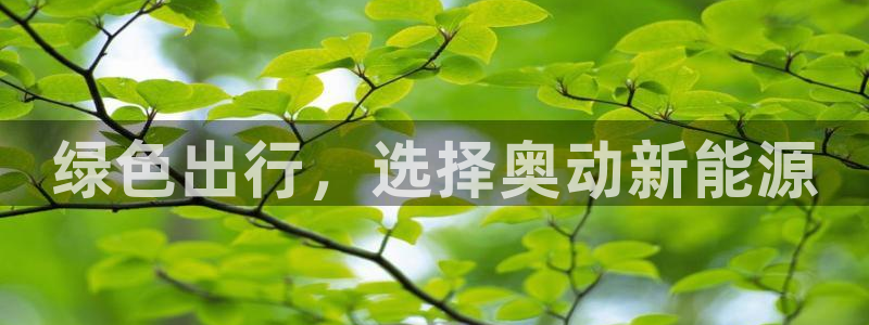 门徒娱乐上7O667：绿色出行，选择奥动