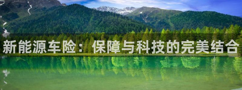 类似娱乐门徒类小说