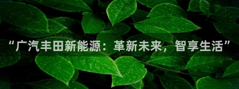门徒娱乐网页版下载安卓