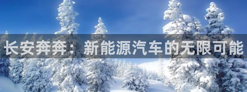 门徒娱乐登陆:长安奔奔:新能源汽车的无限可能