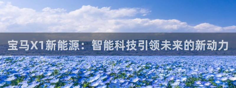 门徒娱乐盈利方法：宝马X1新能源：智能科