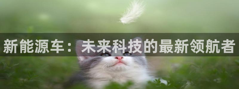 门徒娱乐老板是谁呀图片:新能源车:未来科技的最新领航者
