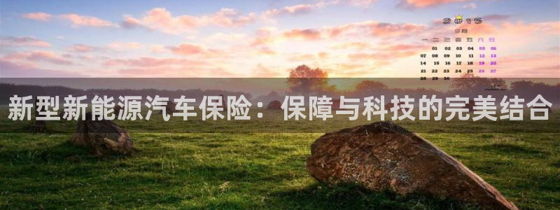 门徒娱乐注册登录失败:新型新能源汽车保险:保障与科技的完美结