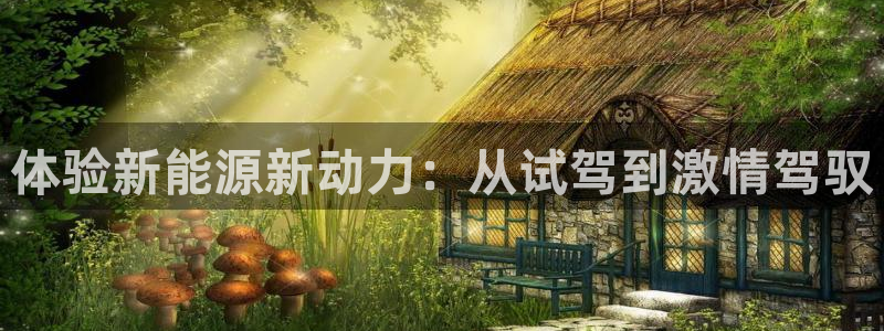 门徒娱乐官方网站地址:体验新能源新动力:从试驾到激情驾驭