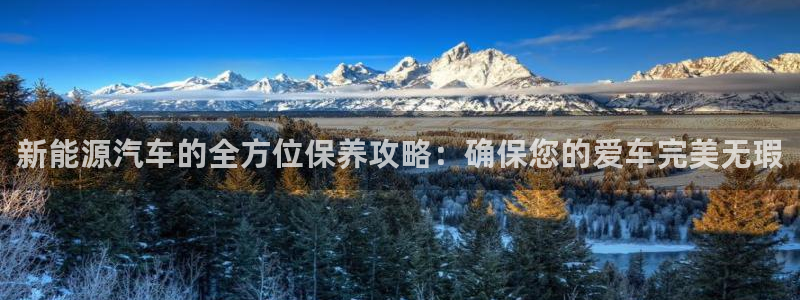 娱乐门徒电影爱情