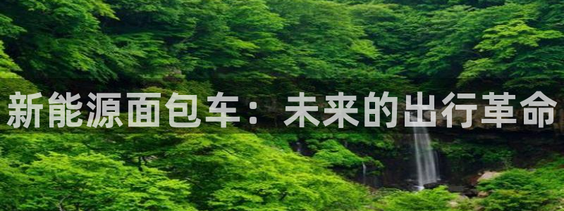 蓝狮和门徒娱乐区别在哪：新能源面包车：未