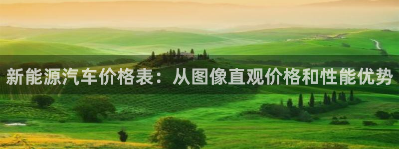 门徒娱乐找q22o32:新能源汽车价格表:从图像直观价格和性