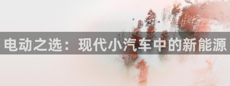 门徒官方娱乐：电动之选：现代小汽车中的新