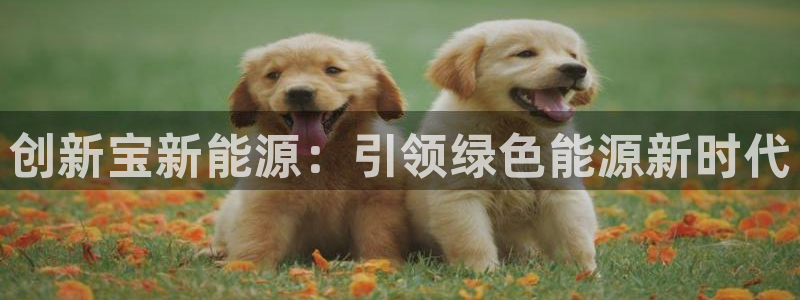 娱乐门徒女主角：创新宝新能源：引领绿色能