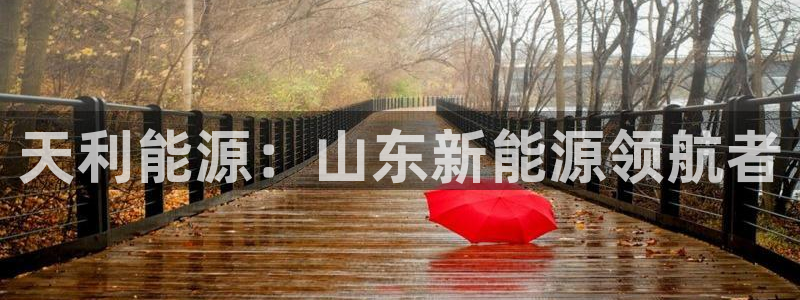 门徒娱乐黑钱事件真相:天利能源:山东新能源领航者