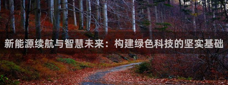 新功夫之王娱乐门徒:新能源续航与智慧未来:构建绿色科技的坚实