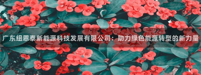 门徒娱乐网页版登录入口:广东纽恩泰新能源科技发展有限公司:助
