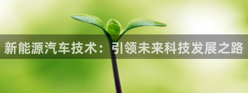 门徒娱乐区究7276O:新能源汽车技术:引领未来科技发展之路