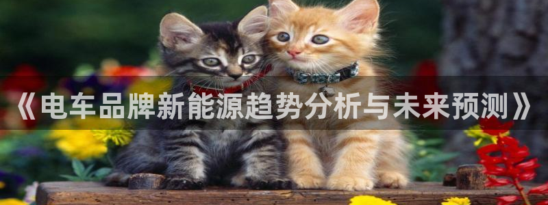 娱乐门徒 小说推荐:《电车品牌新能源趋势分析与未来预测》