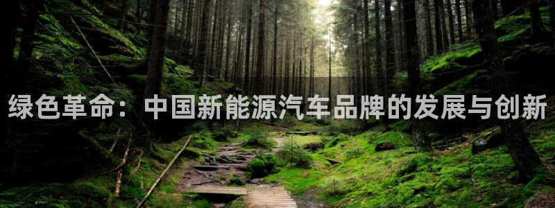 门徒娱乐场所开放时间表:绿色革命:中国新能源汽车品牌的发展与