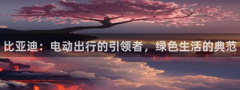 门徒娱乐左:比亚迪:电动出行的引领者,绿色生活的典范