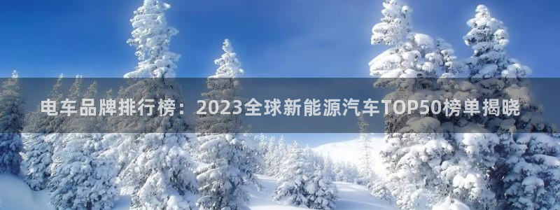 门徒娱乐官方网站地址:电车品牌排行榜:2023全球新能源汽车