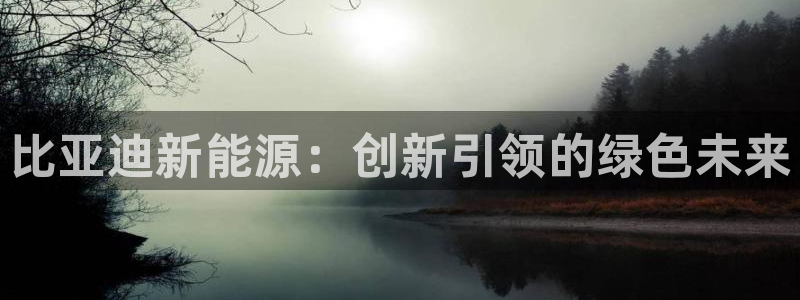 门徒娱乐是玩什么游戏的:比亚迪新能源:创新引领的绿色未来