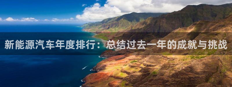 娱乐门徒娱乐世纪:新能源汽车年度排行:总结过去一年的成就与挑