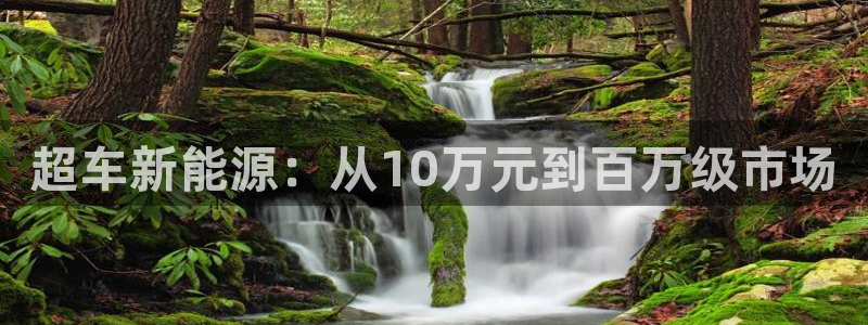 门徒娱乐团队介绍:超车新能源:从10万元到百万级市场