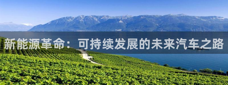 门徒娱乐是哪里的:新能源革命:可持续发展的未来汽车之路