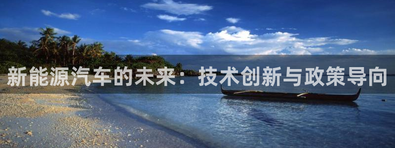 娱乐圈曼巴门徒:新能源汽车的未来:技术创新与政策导向