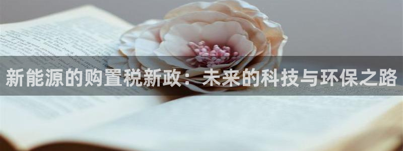 门徒娱乐主管去天神779O3:新能源的购置税新政:未来的科技