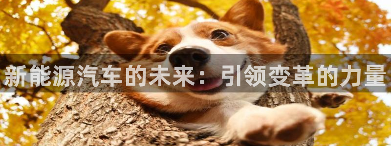 门徒娱乐黑钱怎么办：新能源汽车的未来：引