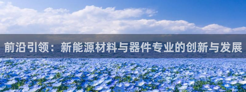 门徒娱乐怎么挂机的：前沿引领：新能源材料