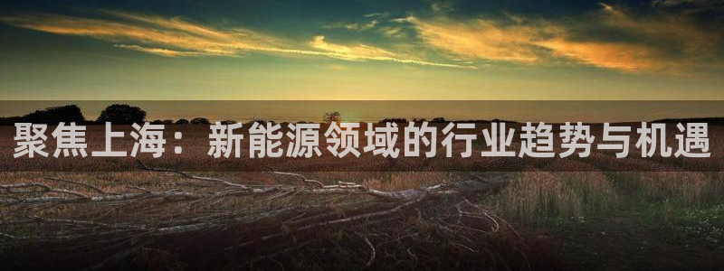 娱乐门徒免费下载手机版:聚焦上海:新能源领域的行业趋势与机遇