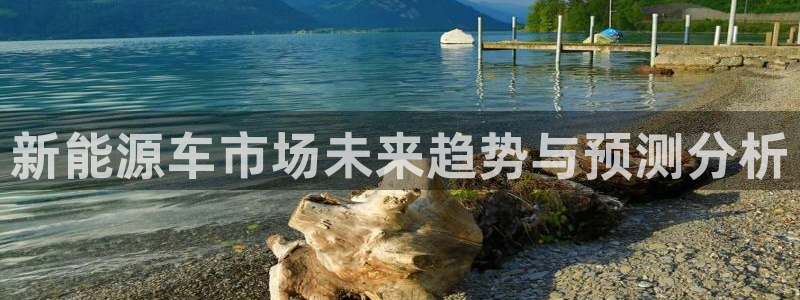 门徒娱乐网站下载安装:新能源车市场未来趋势与预测分析