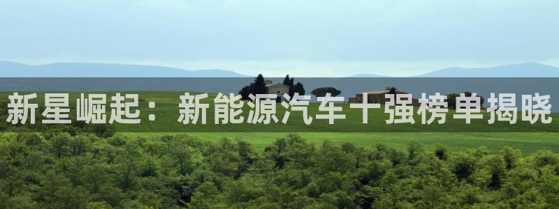 门徒娱乐做什么的:新星崛起:新能源汽车十强榜单揭晓