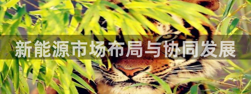 门徒娱乐地:新能源市场布局与协同发展