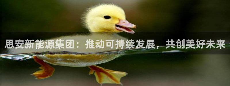门徒彩票娱乐平台大代理:思安新能源集团:推动可持续发展,共创