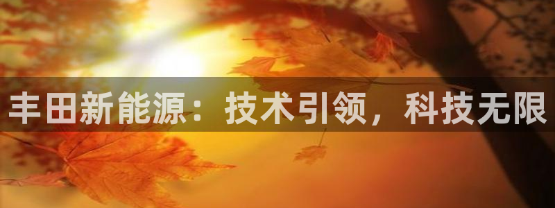 门徒娱乐平台代理:丰田新能源:技术引领,科技无限